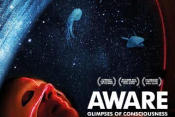مستند AWARE Glimpses of Consciousness