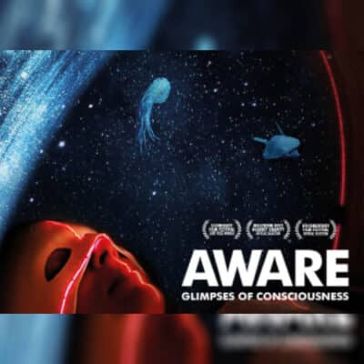 مستند AWARE Glimpses of Consciousness